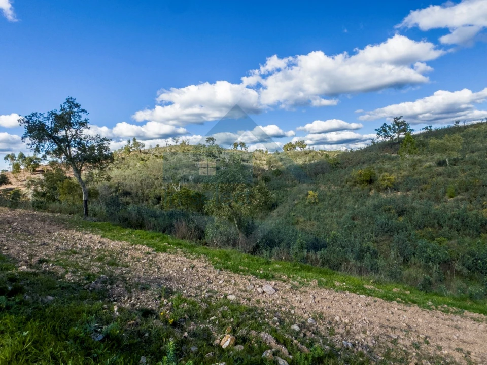 Quinta T4 para Venda em Salir Foto 20