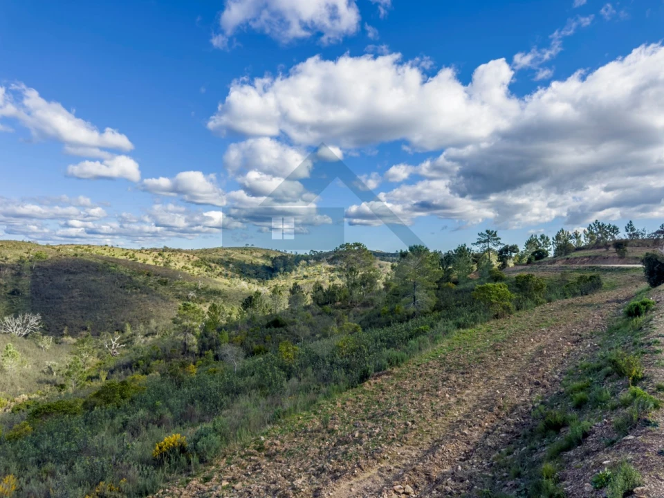 Quinta T4 para Venda em Salir Foto 22