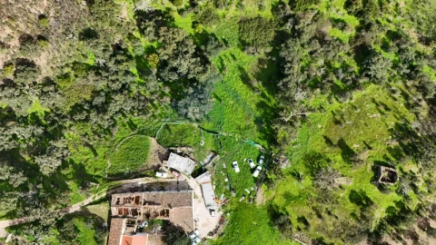 Quinta T4 para Venda em Salir