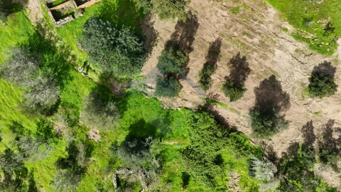 Quinta T4 para Venda em Salir