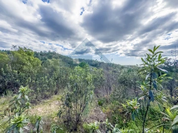 Quinta T4 para Venda em Salir