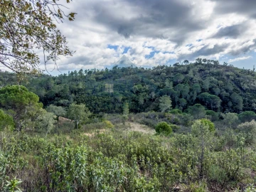 Quinta T4 para Venda em Salir