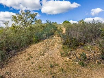 Quinta T4 para Venda em Salir