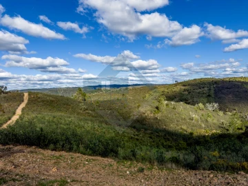 Quinta T4 para Venda em Salir