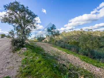 Quinta T4 para Venda em Salir