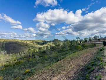 Quinta T4 para Venda em Salir