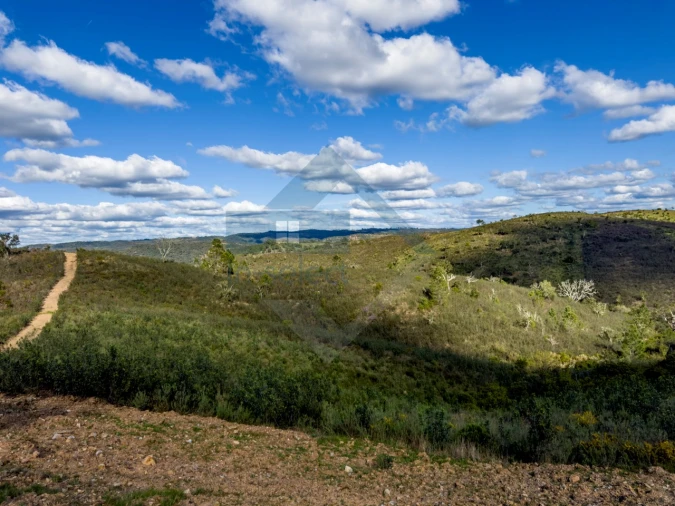 Quinta T4 para Venda em Salir Foto 18