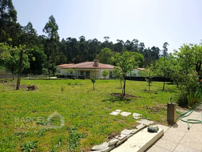 Moradia T3 para Venda em Alheira e Igreja Nova Foto 3