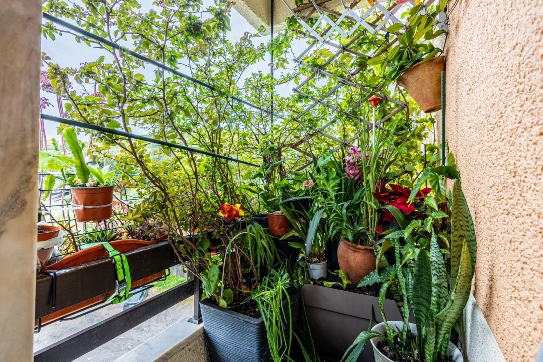 Apartamento T3 para Venda em Mina de Água Foto 18