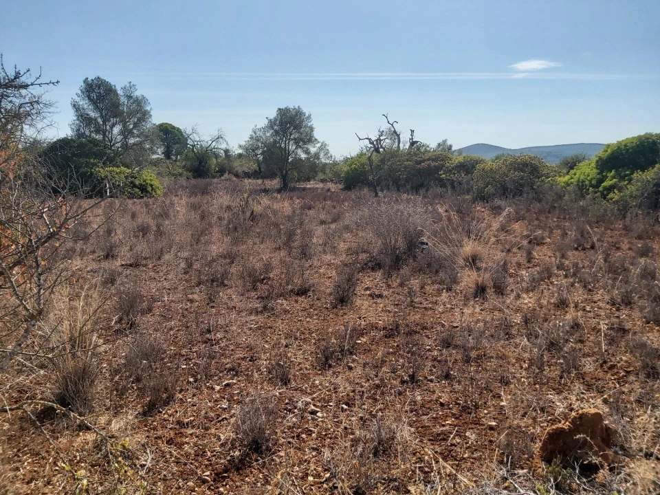 Terreno para Venda em Loule (São Sebastião) Foto 3