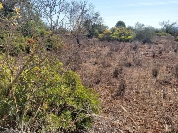 Terreno para Venda em Loule (São Sebastião)