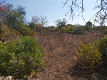 Terreno para Venda em Loule (São Sebastião)