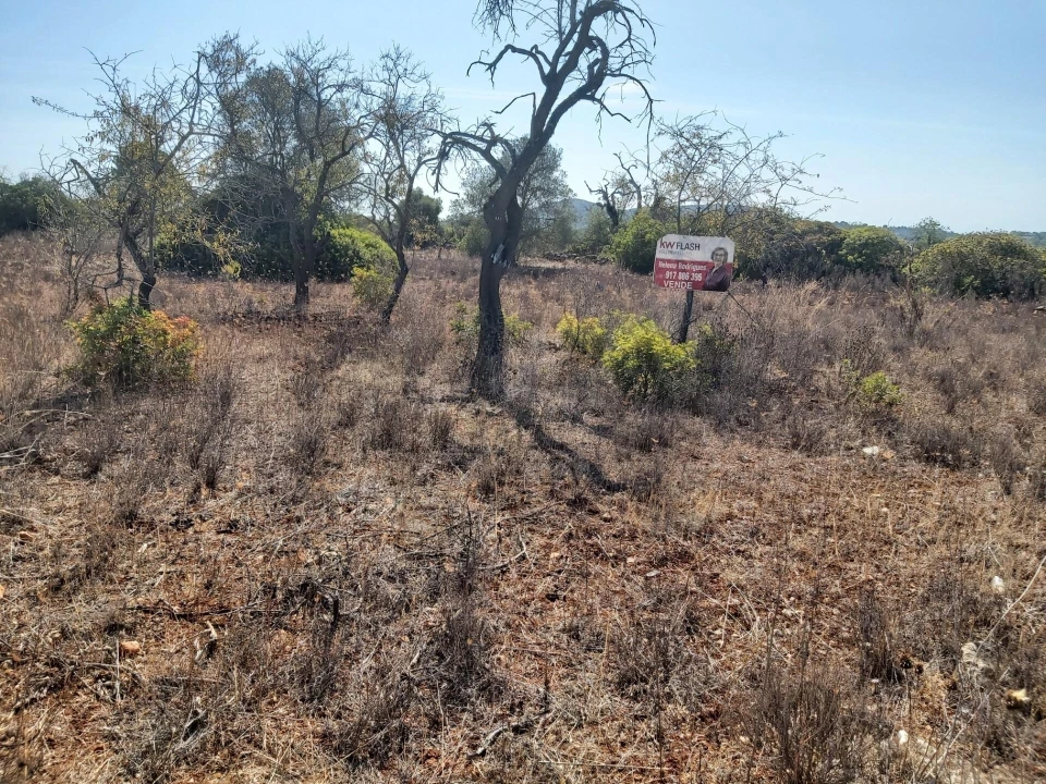 Terreno para Venda em Loule (São Sebastião) Foto 5