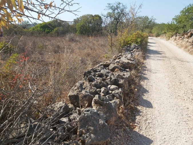 Terreno para Venda em Loule (São Sebastião) Foto 8