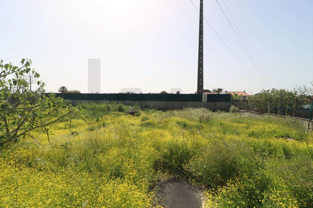 Moradia T2 para Venda em Pinhal Novo Foto 52