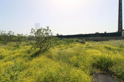 Moradia T2 para Venda em Pinhal Novo