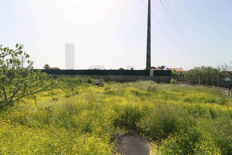 Moradia T2 para Venda em Pinhal Novo Foto 52