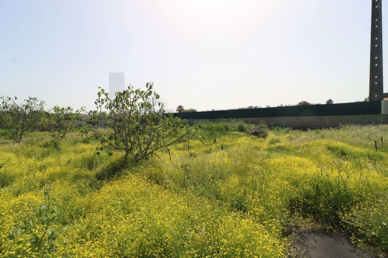 Moradia T2 para Venda em Pinhal Novo Foto 51