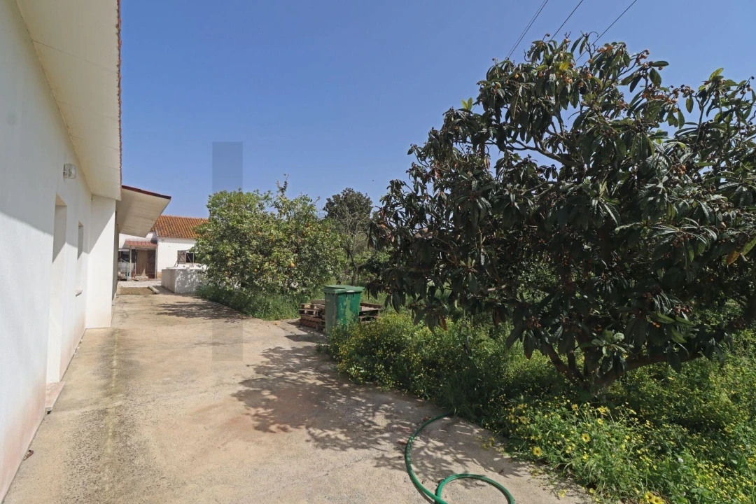 Moradia T2 para Venda em Pinhal Novo Foto 50