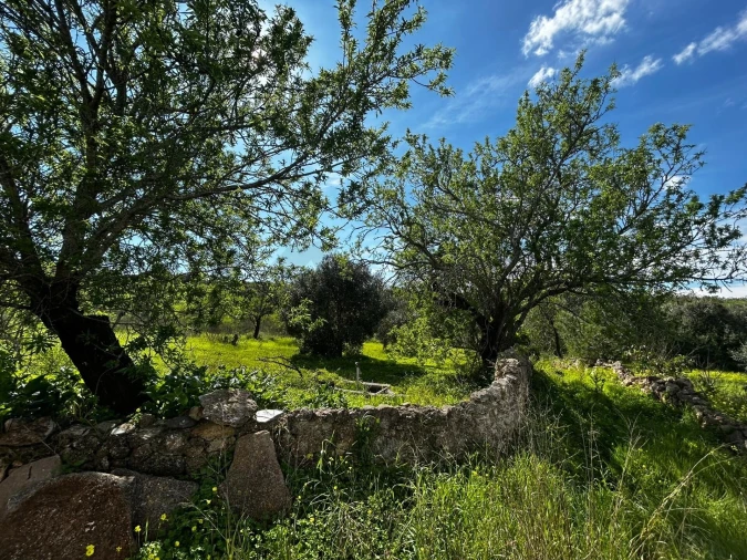 Moradia T2 para Venda em Alcantarilha e Pêra Foto 5