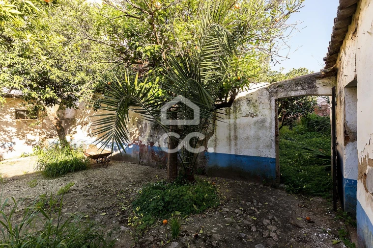 Prédio para Venda em Reguengos de Monsaraz Foto 32