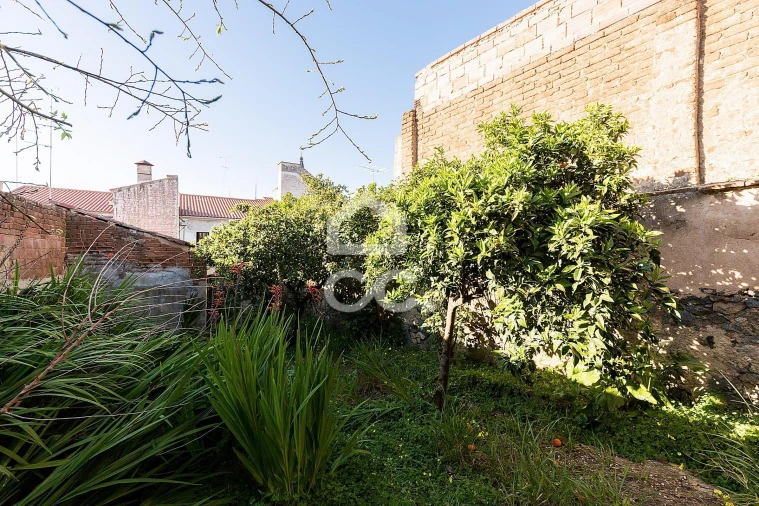 Prédio para Venda em Reguengos de Monsaraz Foto 40