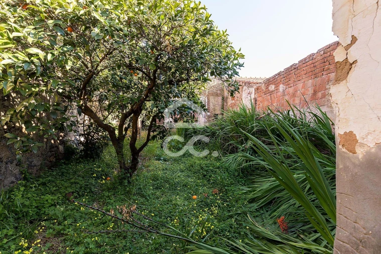 Prédio para Venda em Reguengos de Monsaraz Foto 38