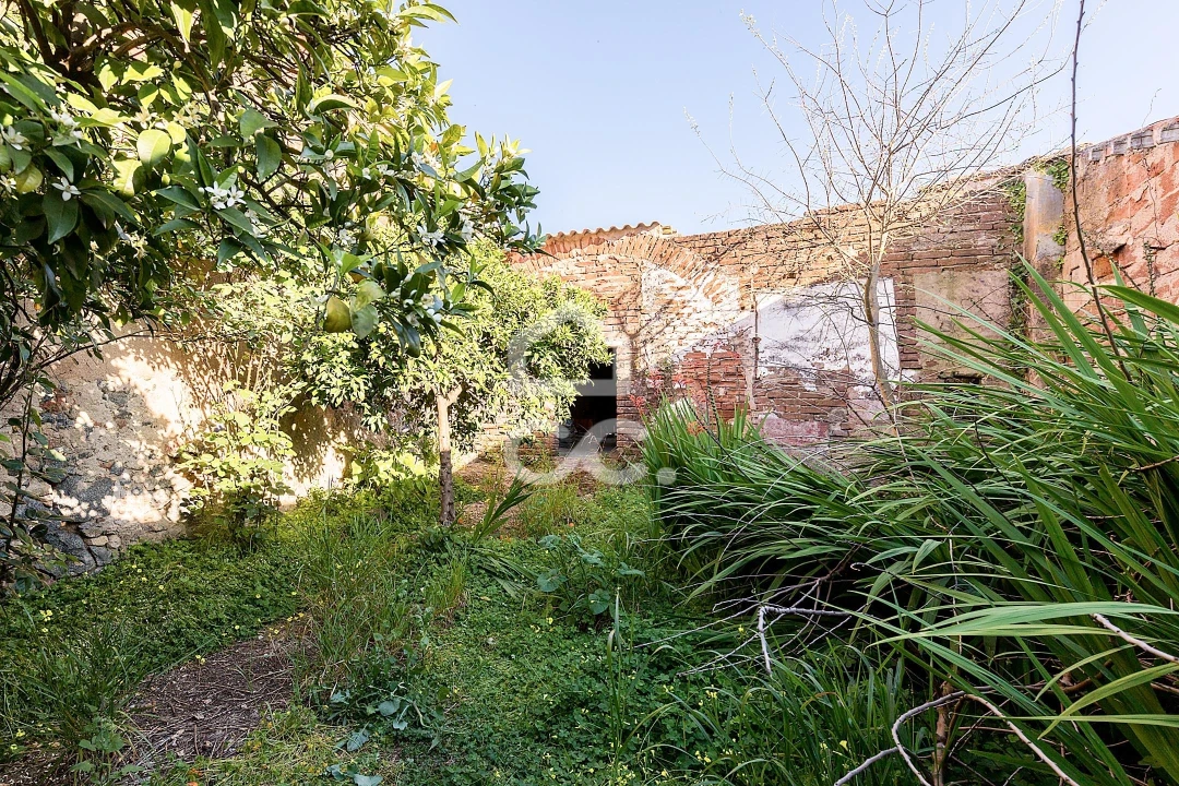 Prédio para Venda em Reguengos de Monsaraz Foto 39