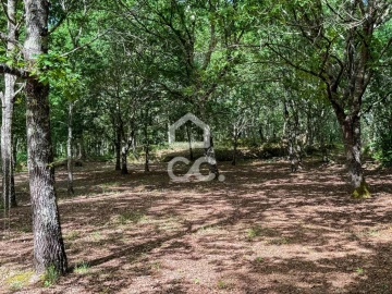 Moradia T6 para Venda em Ovoa e Vimieiro