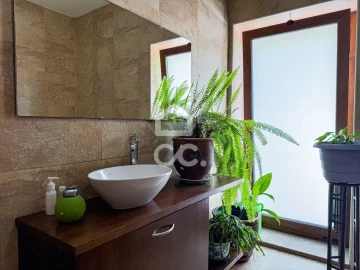 Moradia T6 para Venda em Ovoa e Vimieiro