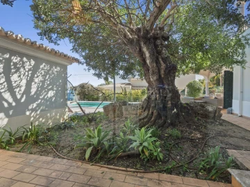 Moradia T3 para Venda em Lagoa e Carvoeiro