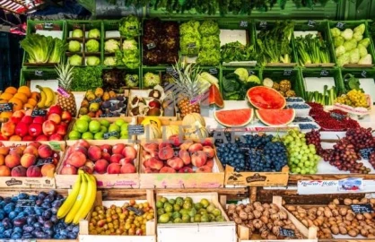 Negócio para Venda em Santo Antonio