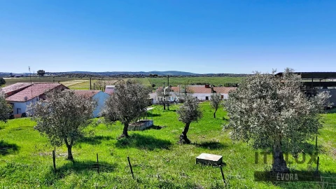 Moradia T2 para Venda em São Bento do Cortiço e Santo Estêvão