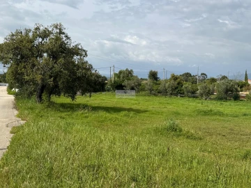 Terreno para Venda em Odiaxere