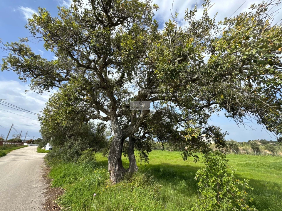 Terreno para Venda em Odiaxere Foto 1