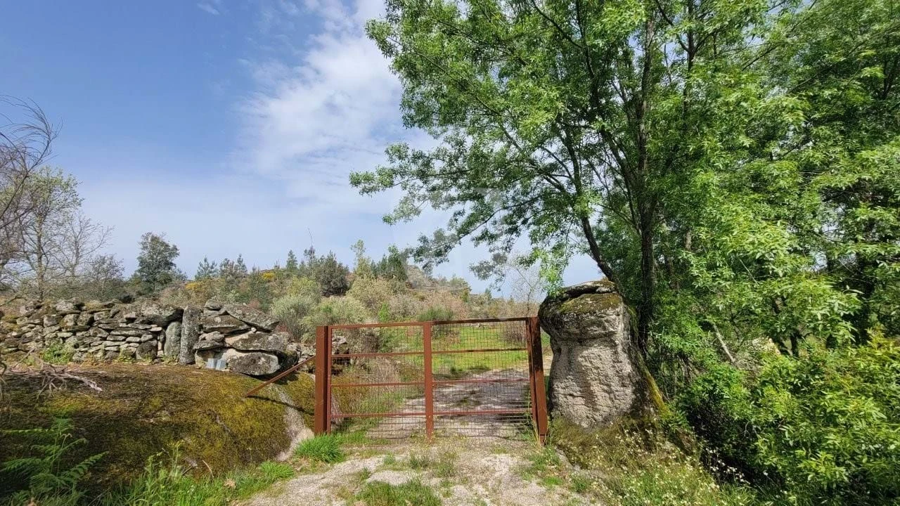 Quinta para Venda em Aldeia do Bispo, Águas e Aldeia de João Pires Foto 22
