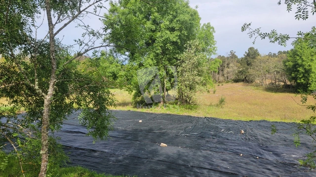 Quinta para Venda em Aldeia do Bispo, Águas e Aldeia de João Pires Foto 39