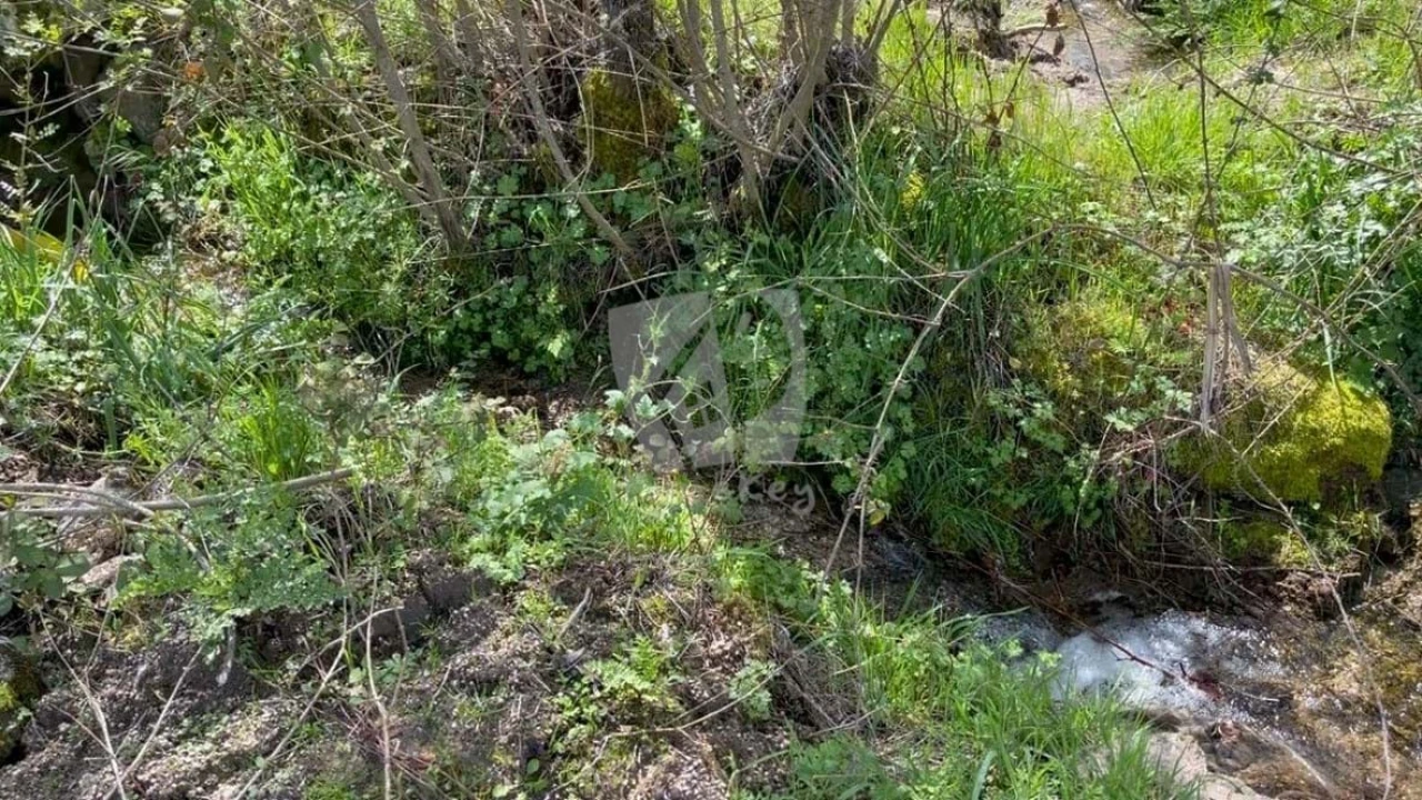 Quinta para Venda em Aldeia do Bispo, Águas e Aldeia de João Pires Foto 27