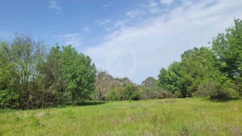 Quinta para Venda em Aldeia do Bispo, Águas e Aldeia de João Pires