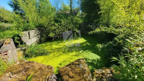 Quinta para Venda em Aldeia do Bispo, Águas e Aldeia de João Pires