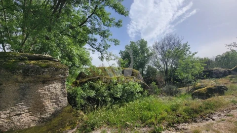 Quinta para Venda em Aldeia do Bispo, Águas e Aldeia de João Pires
