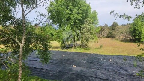 Quinta para Venda em Aldeia do Bispo, Águas e Aldeia de João Pires