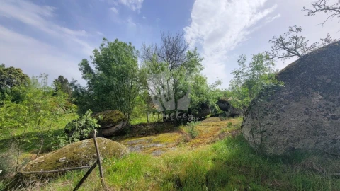 Quinta para Venda em Aldeia do Bispo, Águas e Aldeia de João Pires