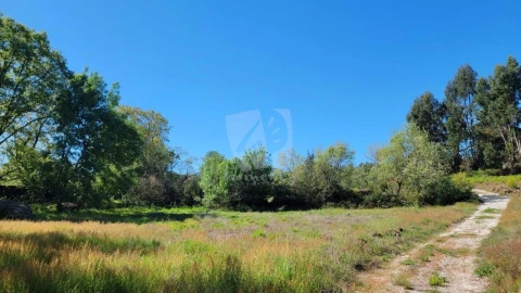 Quinta para Venda em Aldeia do Bispo, Águas e Aldeia de João Pires