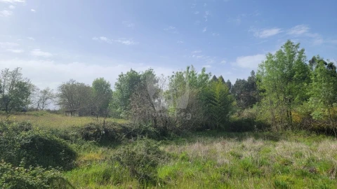 Quinta para Venda em Aldeia do Bispo, Águas e Aldeia de João Pires