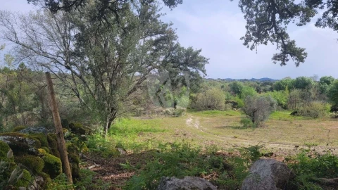 Quinta para Venda em Aldeia do Bispo, Águas e Aldeia de João Pires