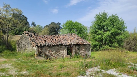 Quinta para Venda em Aldeia do Bispo, Águas e Aldeia de João Pires