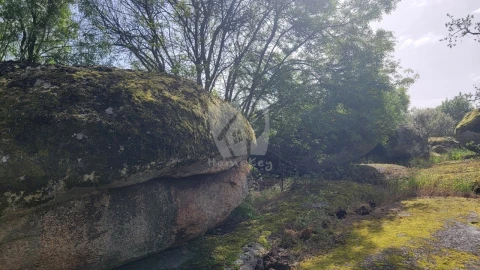 Quinta para Venda em Aldeia do Bispo, Águas e Aldeia de João Pires