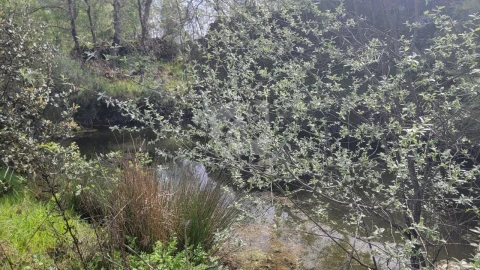 Quinta para Venda em Aldeia do Bispo, Águas e Aldeia de João Pires