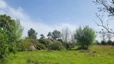 Quinta para Venda em Aldeia do Bispo, Águas e Aldeia de João Pires